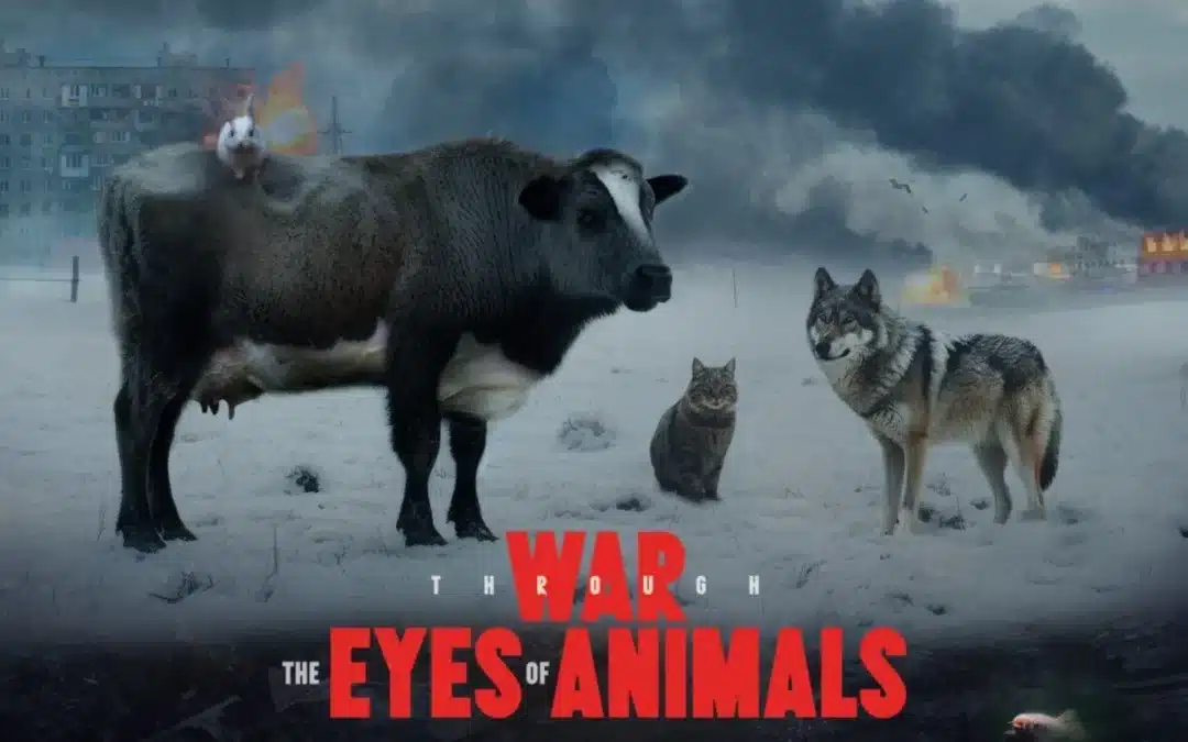 WAR THROUGH THE EYES OF ANIMALS